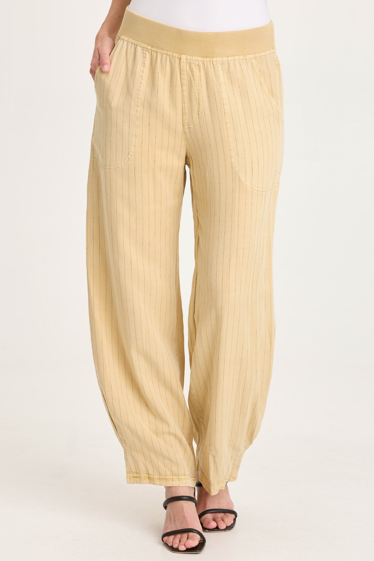 XCVI Carell Pinstripe Pleated Leg Pant