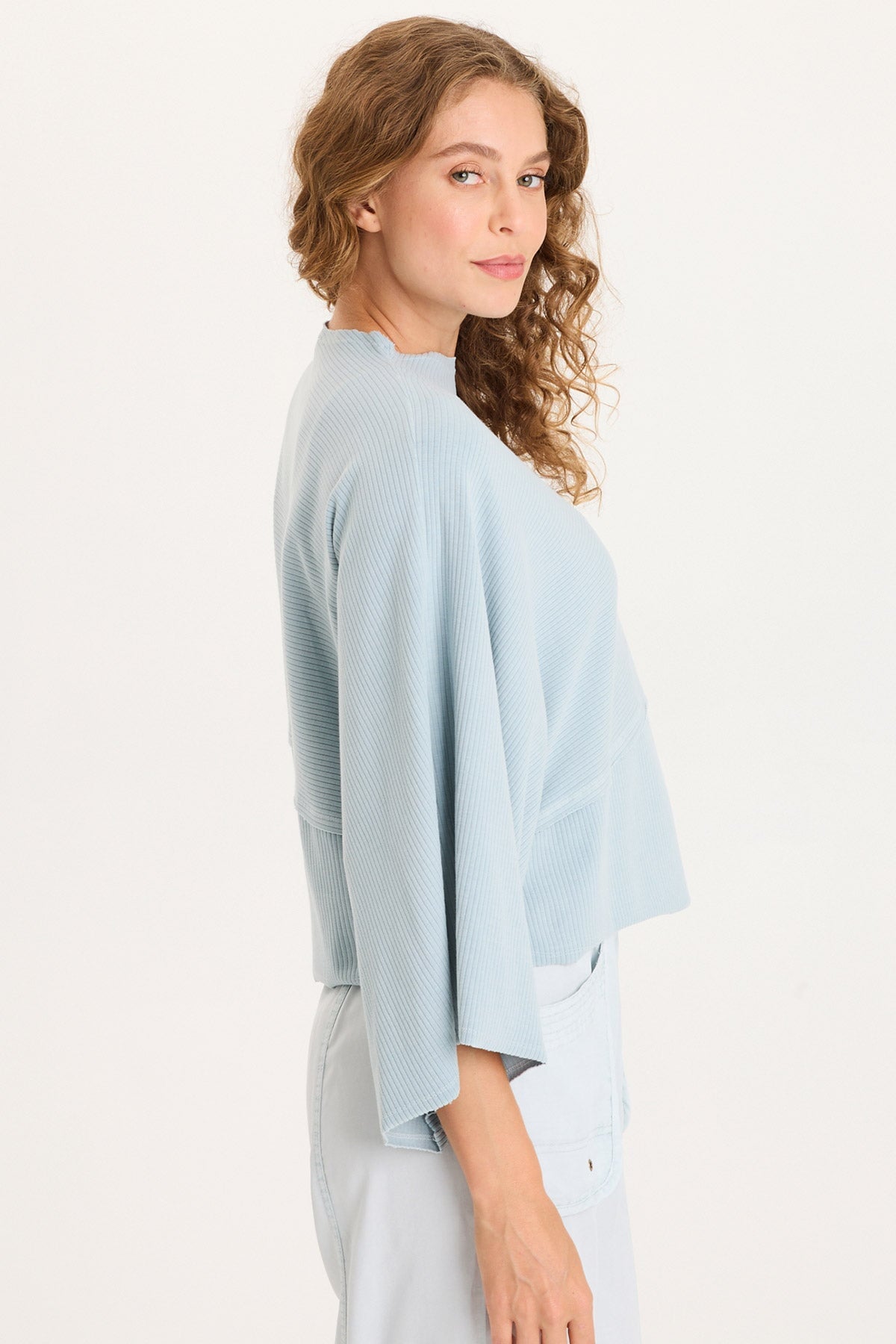 XCVI Gilchrist Asymmetrical Sleeve Top 