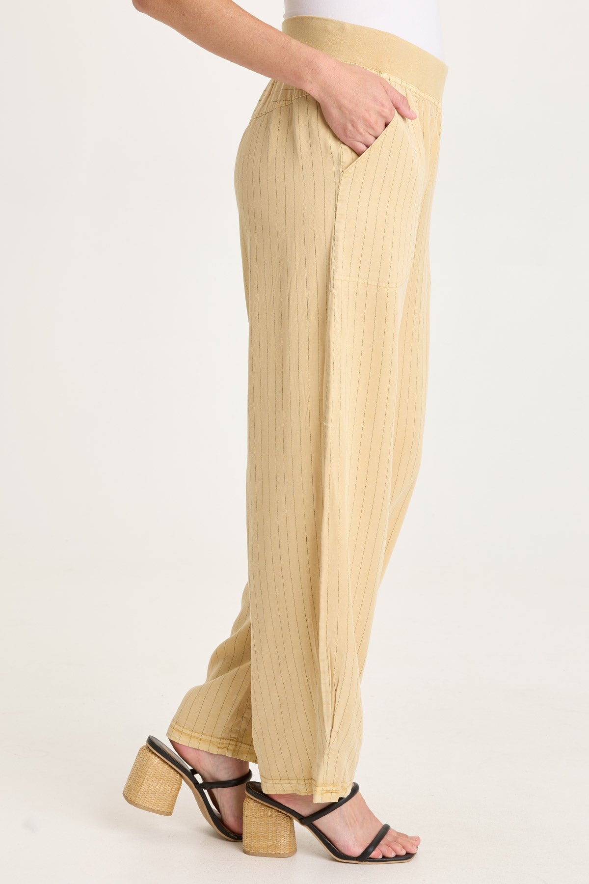 XCVI Carell Pinstripe Pleated Leg Pant 
