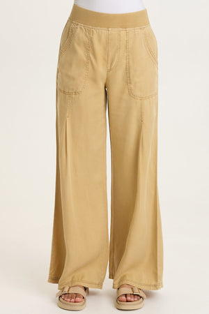 Dacia Tencel Twill Pleated Wide Leg Pull-On Waist Pant